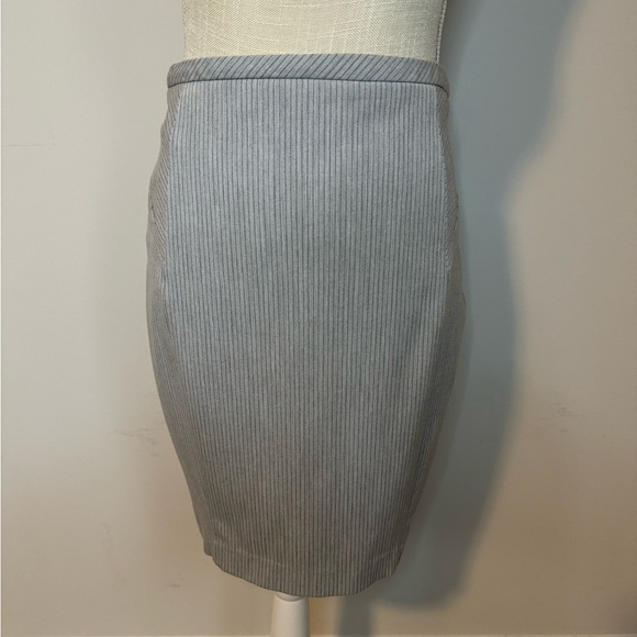 Grey pinstripe Express Skirt - Picture 1 of 4